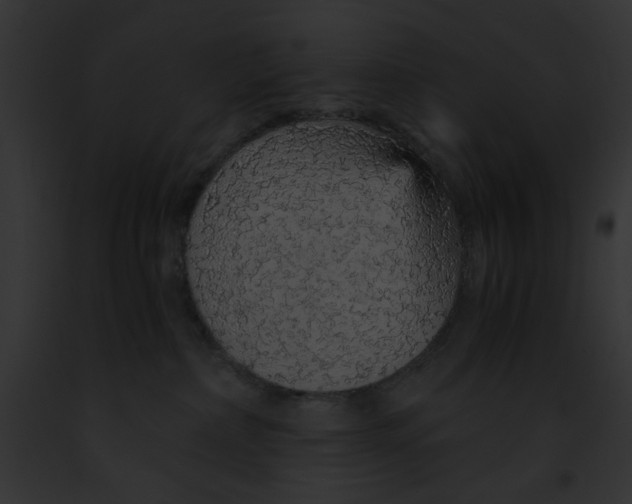 X0000091860236200710031047