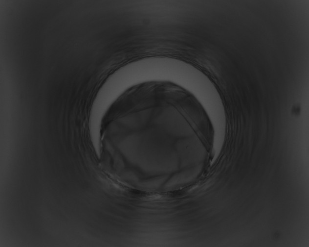 X0000091860237200710031047