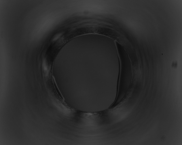 X0000091860239200710031047