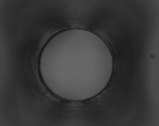 X0000091860241200710031046