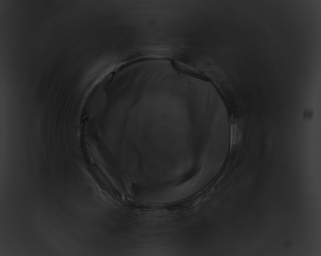 X0000091860243200710031046