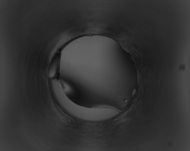 X0000091860244200710031046