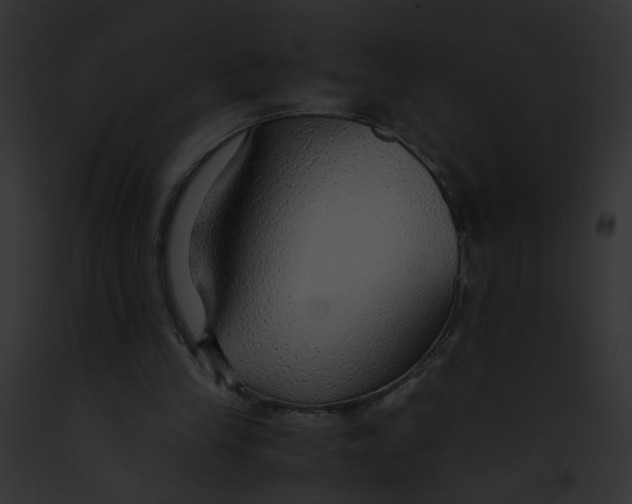 X0000091860245200710031046