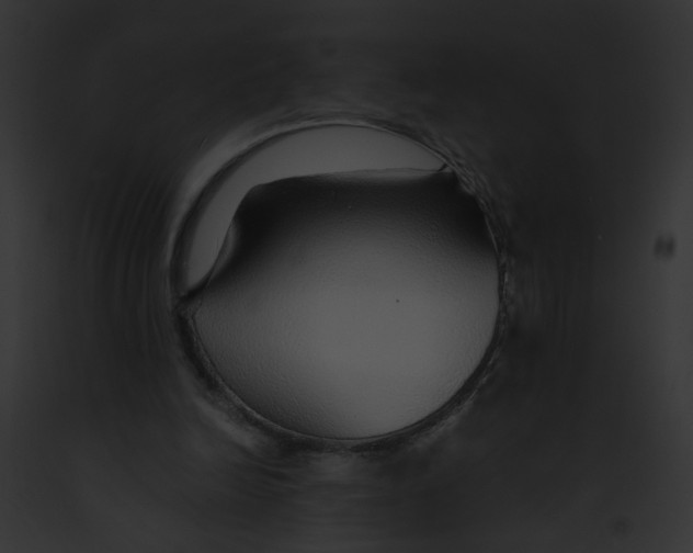 X0000091860246200710031046