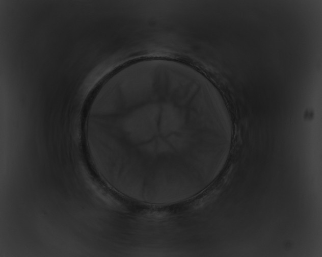 X0000091860247200710031046