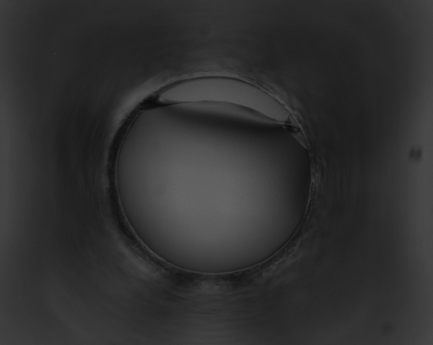 X0000091860248200710031046