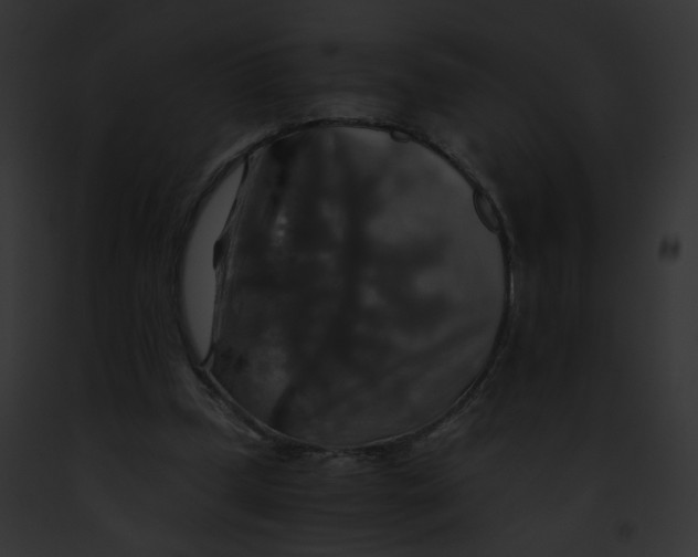 X0000091860249200710031046