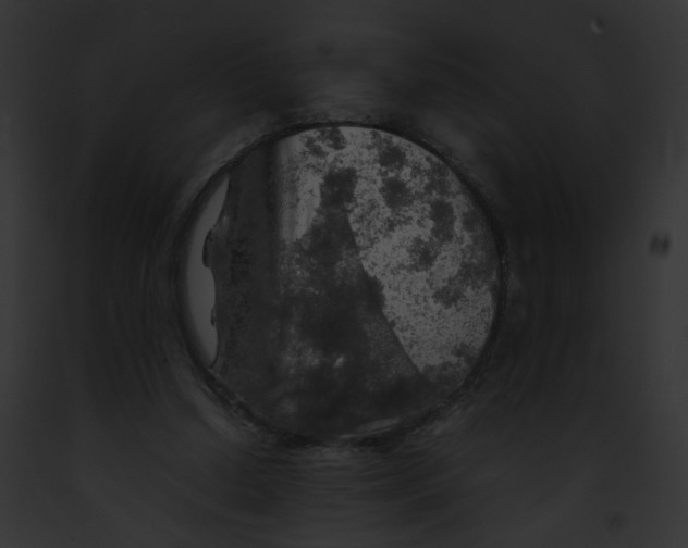 X0000091860250200710031046