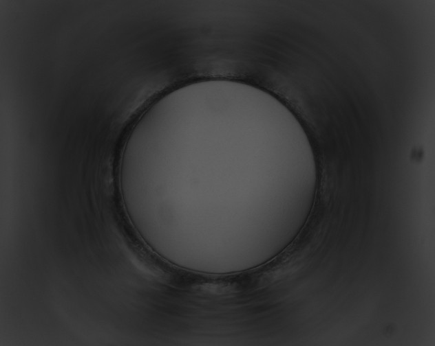 X0000091860251200710031046