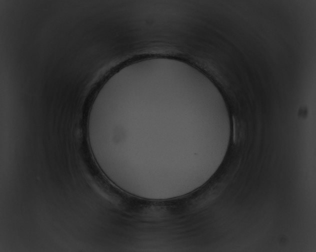 X0000091860252200710031046