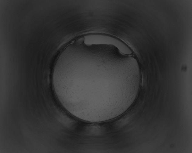 X0000091860253200710031046