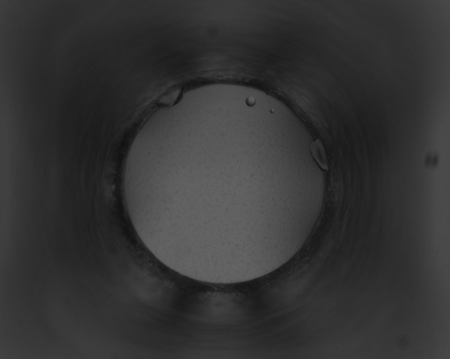 X0000091860255200710031046