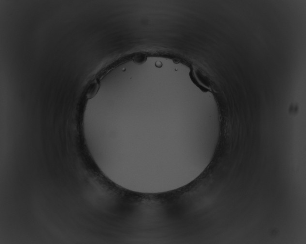 X0000091860256200710031046