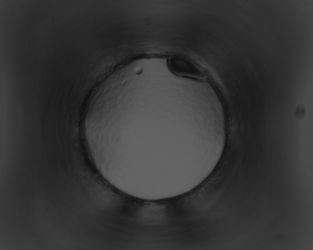 X0000091860257200710031046