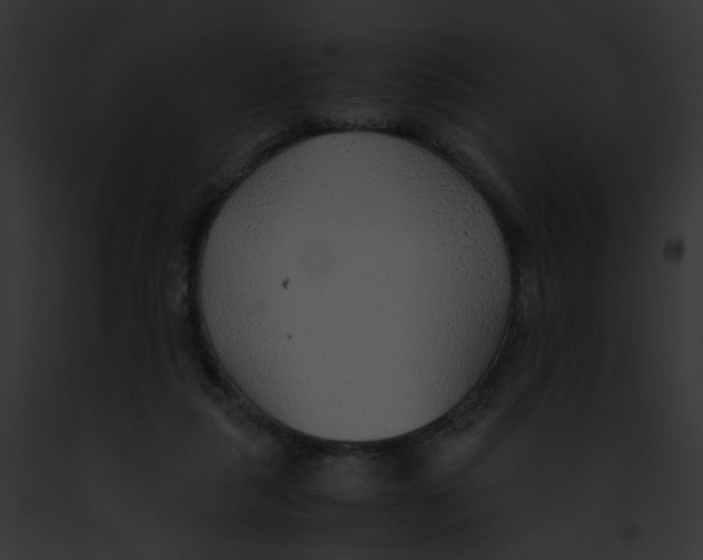 X0000091860259200710031046