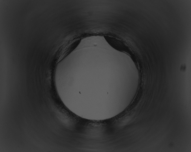 X0000091860260200710031046