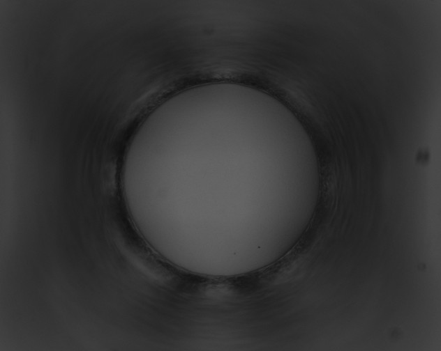 X0000091860262200710031046