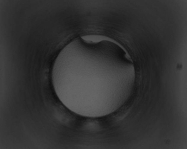 X0000091860263200710031046