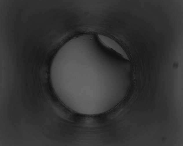 X0000091860264200710031046