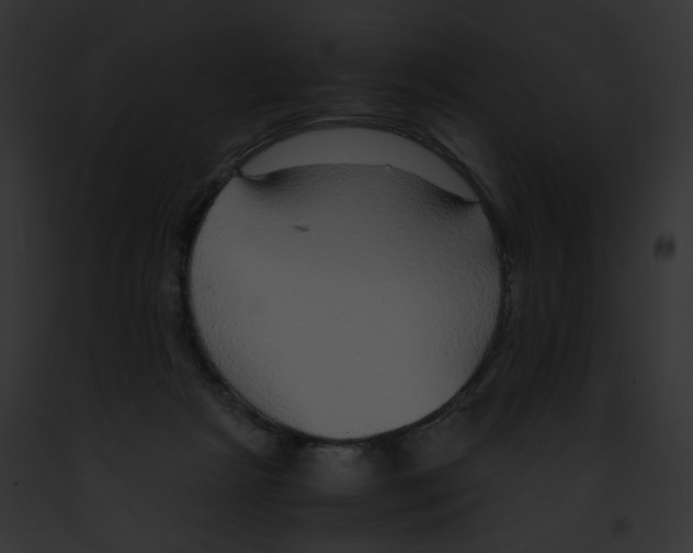 X0000091860265200710031046