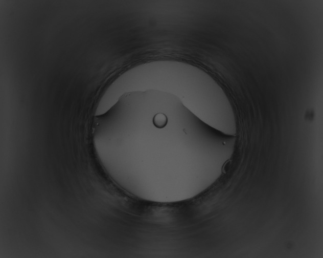 X0000091860268200710031046