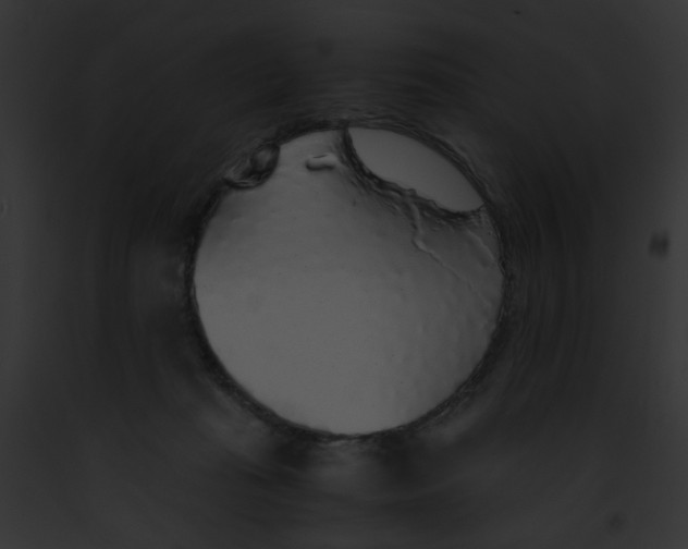 X0000091860269200710031046