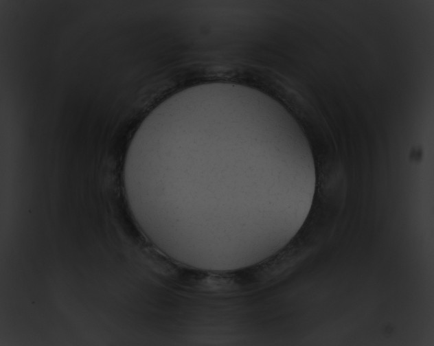 X0000091860270200710031046