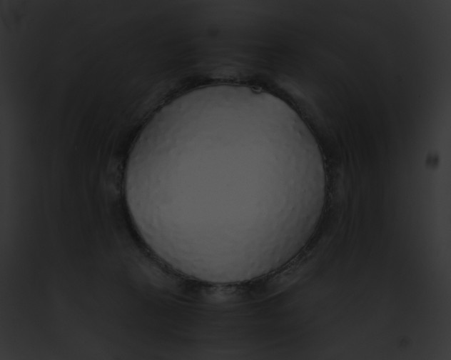 X0000091860273200710031047