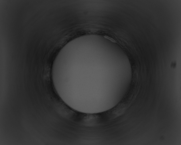 X0000091860274200710031047