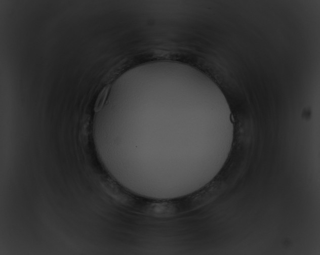 X0000091860275200710031047