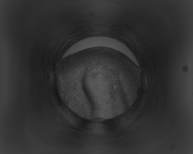 X0000091860276200710031047