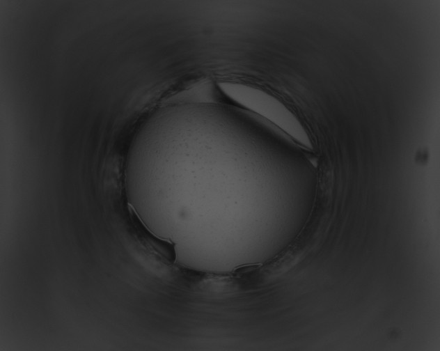 X0000091860280200710031047