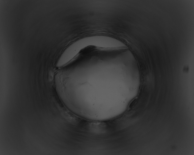 X0000091860281200710031047