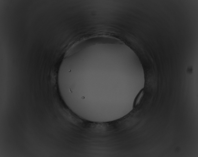 X0000091860282200710031047