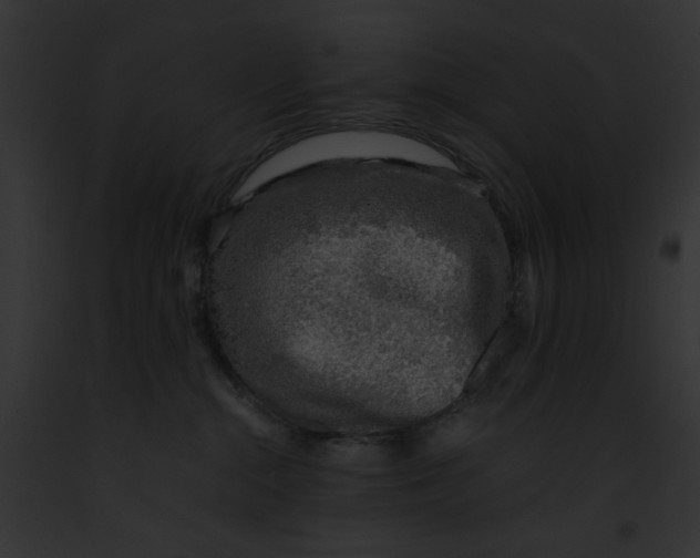 X0000091860284200710031047