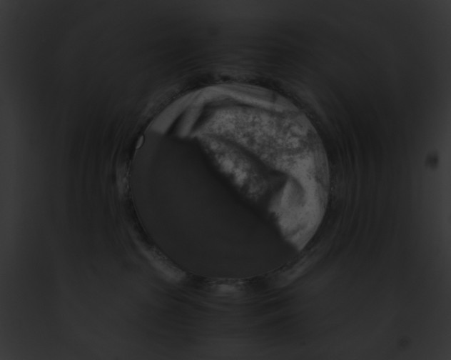 X0000091860285200710031047