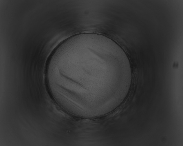 X0000091860290200710031046