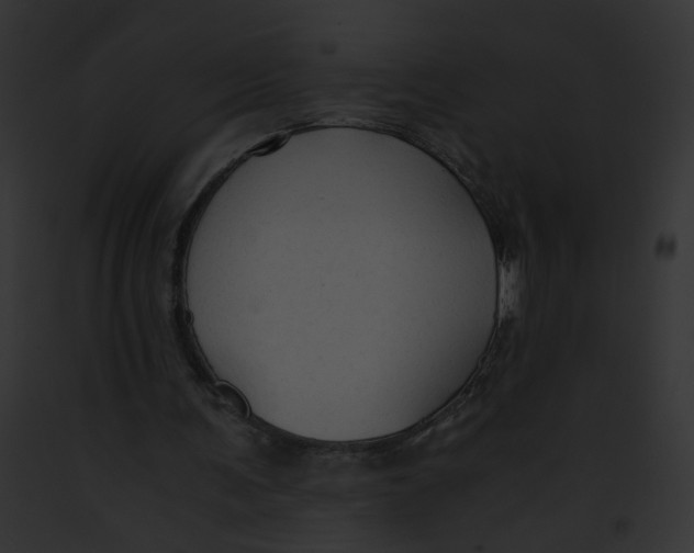 X0000091860291200710031046