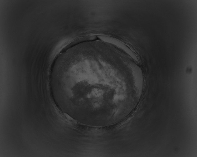 X0000091860293200710031046