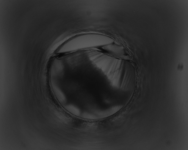 X0000091860295200710031046