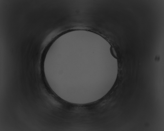 X0000091860296200710031046