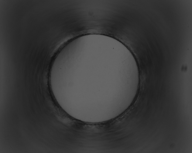 X0000091860297200710031046