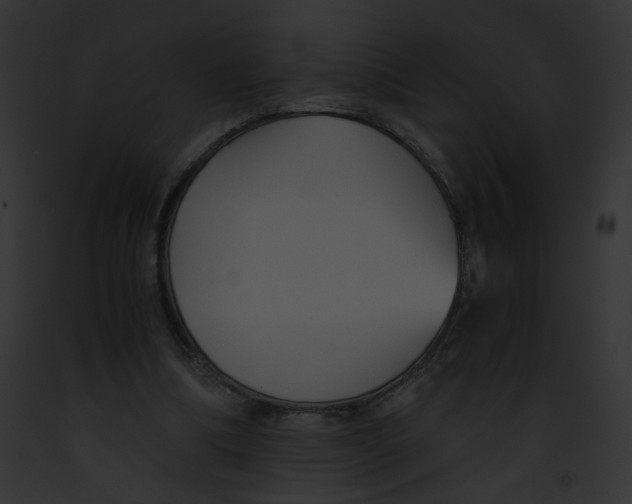 X0000091860298200710031046