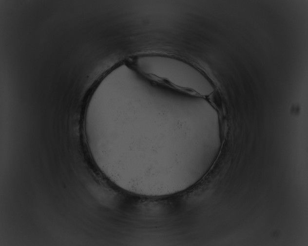 X0000091860299200710031046