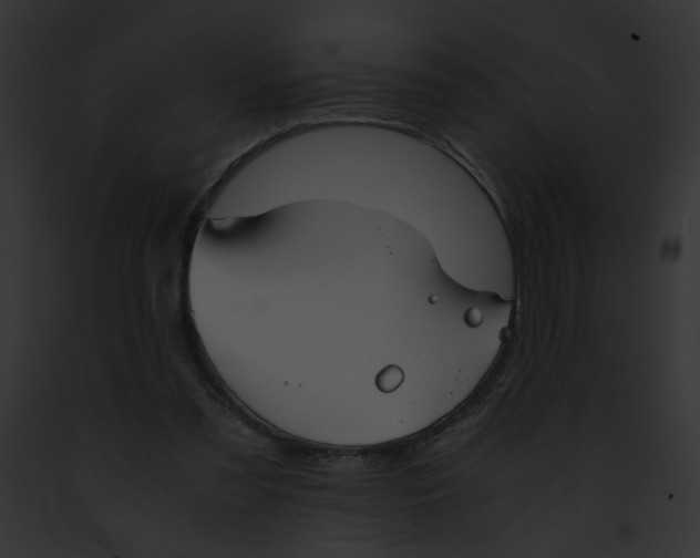 X0000091860301200710031046