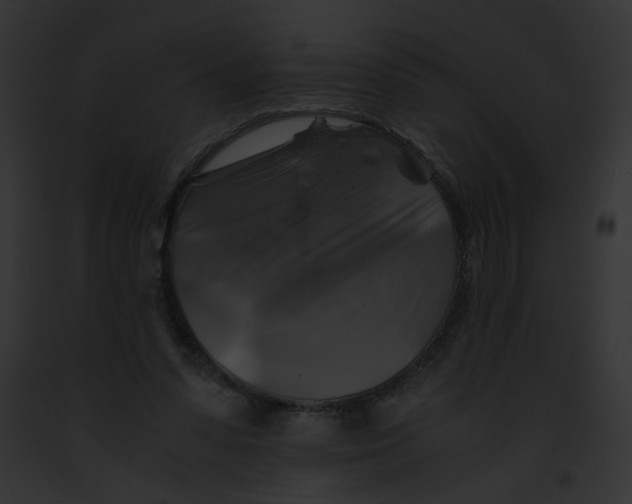 X0000091860303200710031046