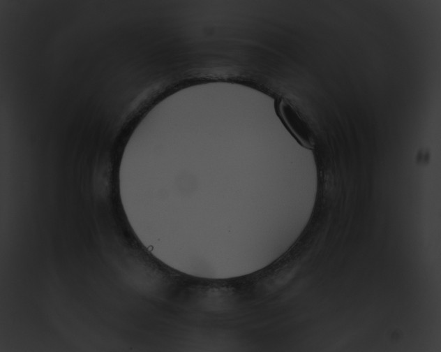 X0000091860304200710031046