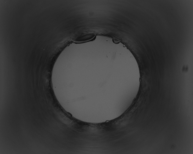 X0000091860305200710031046