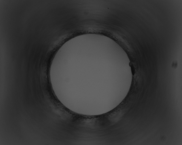 X0000091860306200710031046