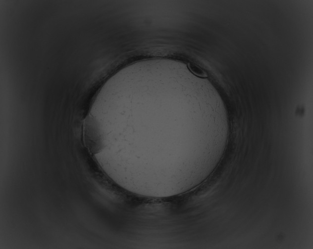 X0000091860307200710031046